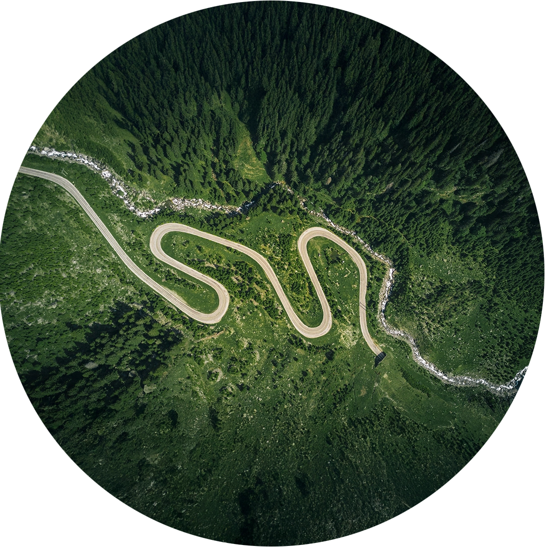 Business financial roadmap